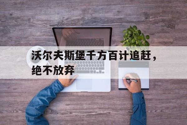 爱游戏体育入口-关于沃尔夫斯堡千方百计追赶，绝不放弃的信息